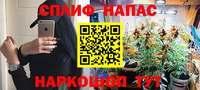 шишки Пыть-Ях