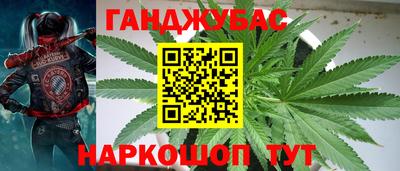 шишки Пыть-Ях