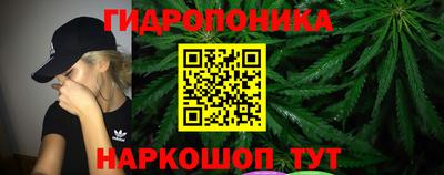 шишки Пыть-Ях