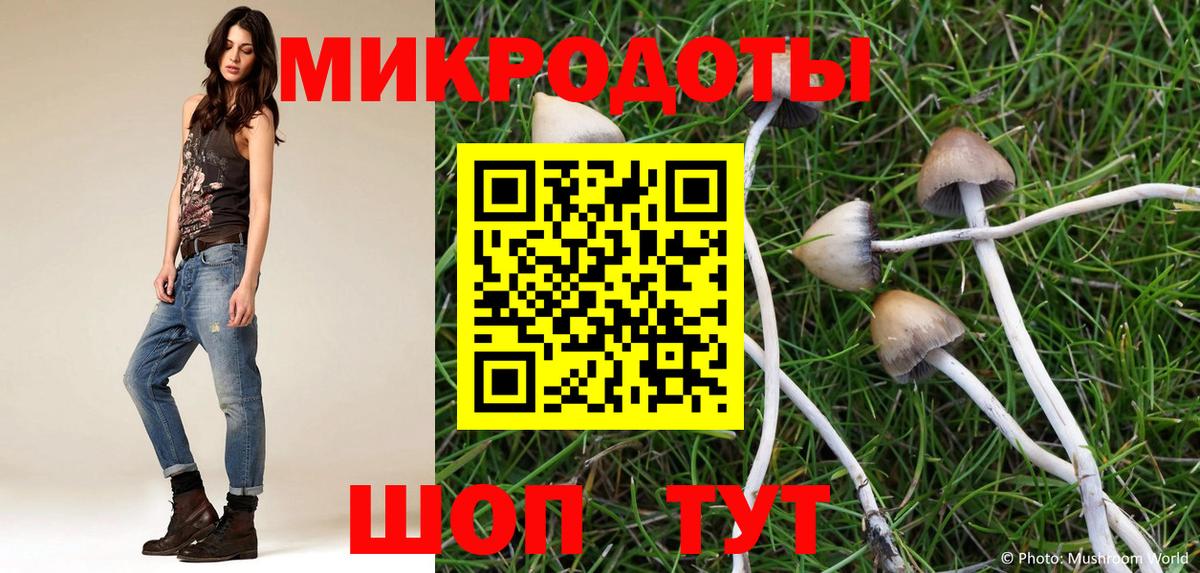 Псилоцибиновые грибы мицелий Уварово